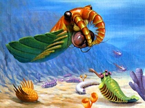 Burgess Shale dinosaur