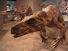 herrerasaurus dinosaur