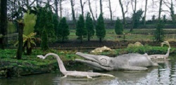 Diplodocus dinosaur