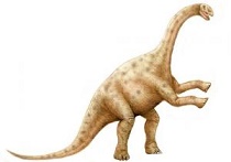 Diplodocus dinosaur