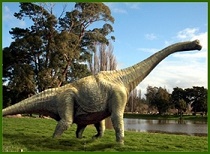 Brachiosaurus dinosaur