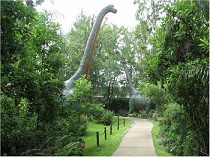 Brachiosaurus dinosaur