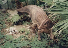 Hadrosaur dinosaur