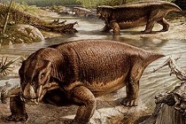 Lystrosaurus dinosaur